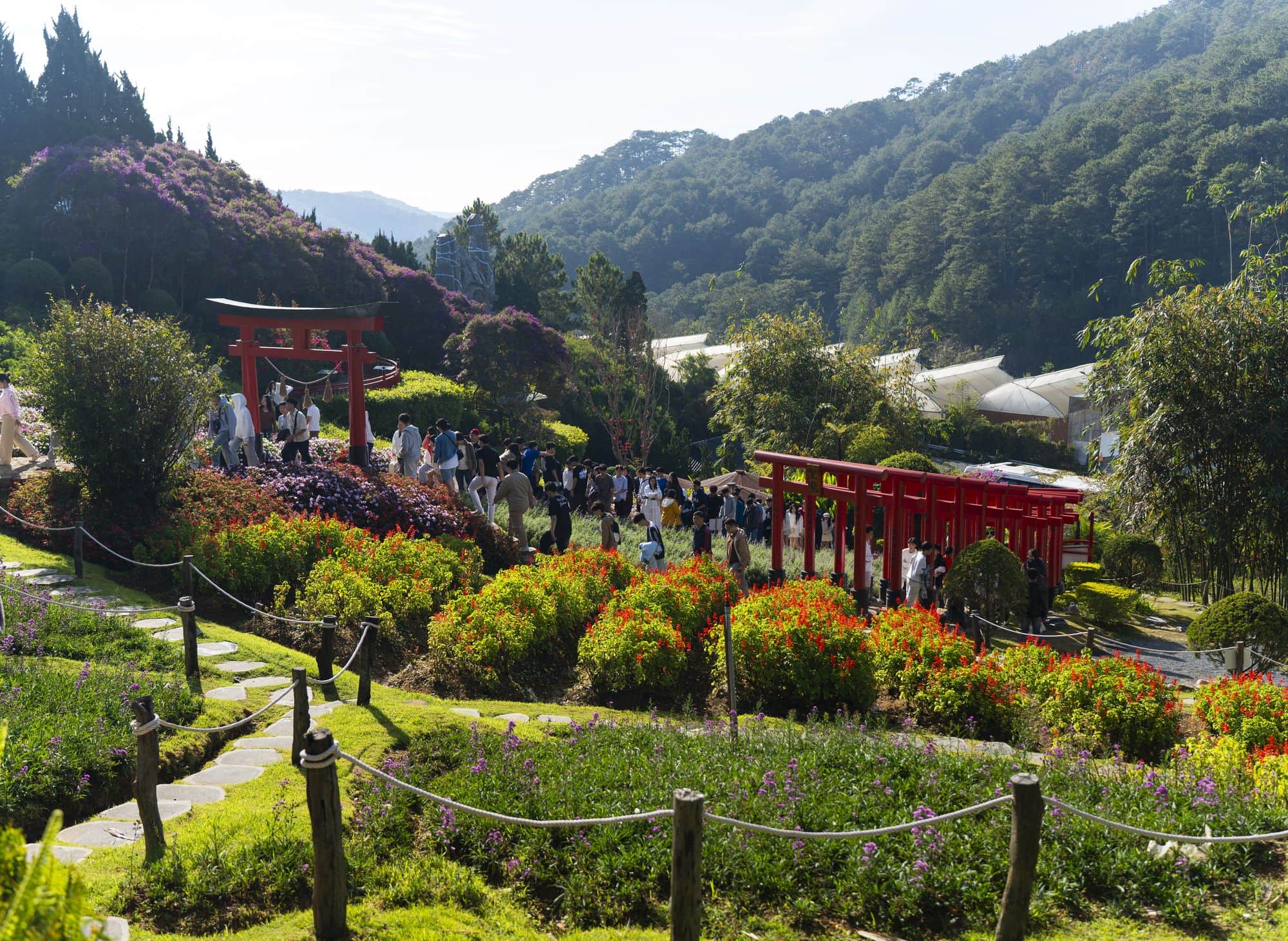 Toàn cảnh đồi cổng torii và vườn hoa giữa núi rừng Đà Lạt