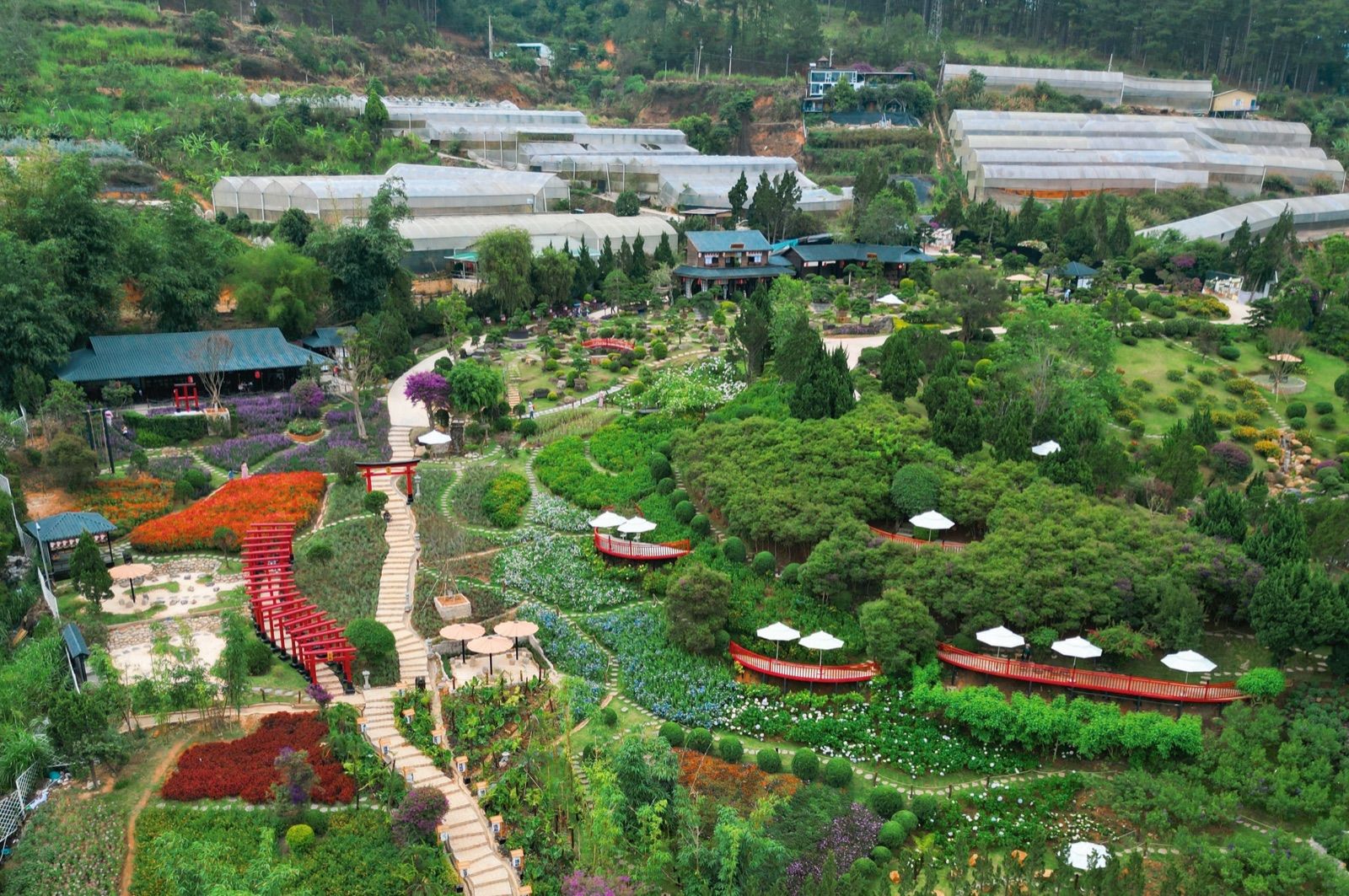 CẬP NHẬT GIÁ VÉ VÀ KINH NGHIỆM THAM QUAN HOÀNG LONG OHAYO ĐÀ LẠT